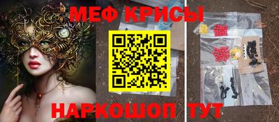 прущие грибы Сланцы