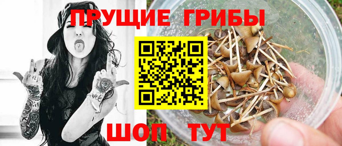 Псилоцибиновые грибы Psilocybine cubensis  Галлюциногенные грибы GOLDEN TEACHER  Вход с VPN  Симферополь 