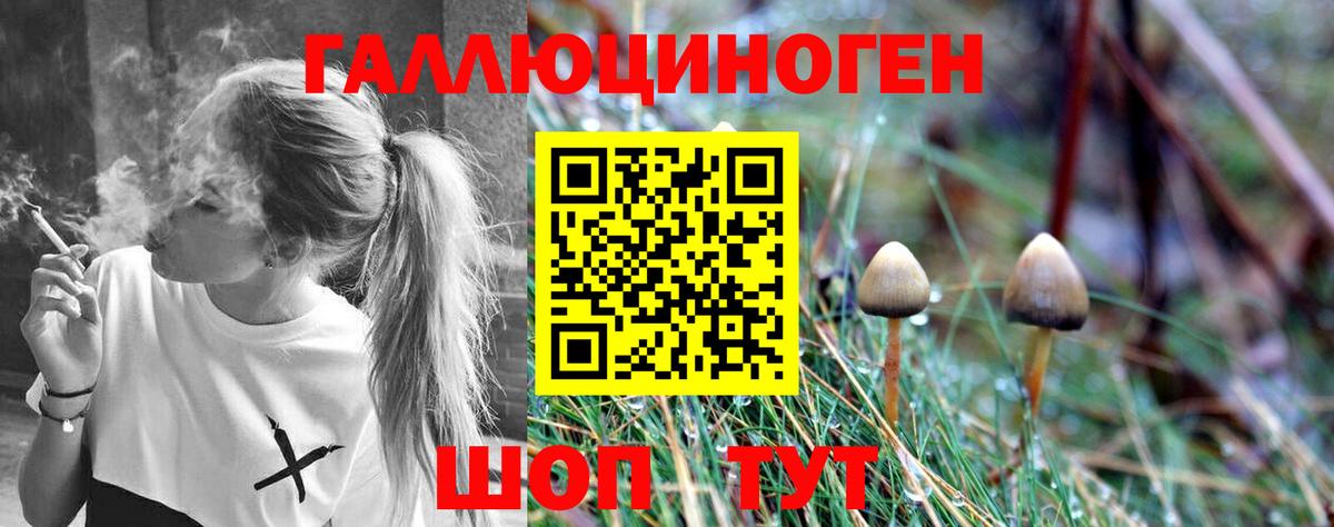 Псилоцибиновые грибы Magic Shrooms Симферополь